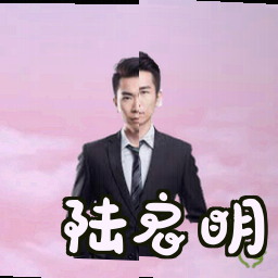 陆启明